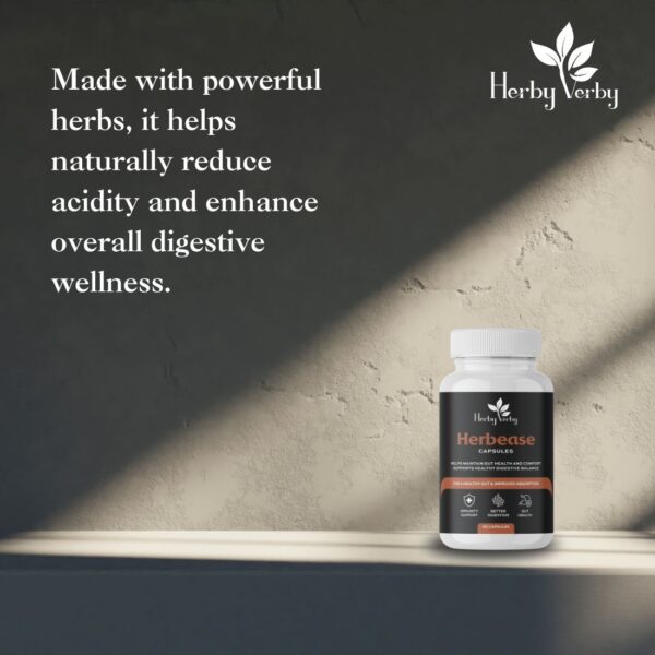 Herbease – Ayurvedic Digestive Support for a Healthier You - Image 3